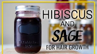 Hibiscus amp Sage For Hair Growth Reduce Shedding [upl. by Nadean322]