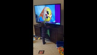 Kid Breaks TV Must Watch [upl. by Follmer695]