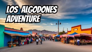 Los Algodones Mexico  Palm Springs Day Trip [upl. by Plante]