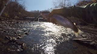 How to Fish for Trout in a RiverCreek by 1Rod1ReelFishing [upl. by Rodolph706]