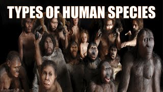 14 Different Types of Human Species  Explained [upl. by Magan]