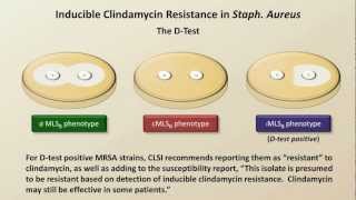 Antibiotic Resistance Antibiotics  Lecture 9 [upl. by Downes]