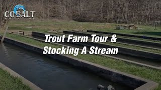 Cobalt Trout Farm Tour and Stocking A Stream [upl. by Niroc]