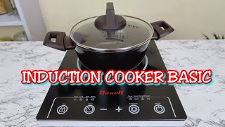 INDUCTION COOKER BASIC REVIEW [upl. by Susumu]