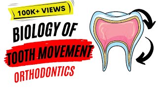 Biology of tooth movement [upl. by Nho]