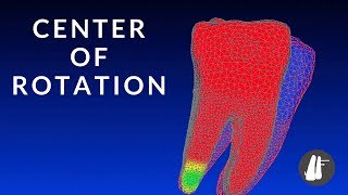 Center of Rotation  Essential Biomechanics [upl. by Ermin2]