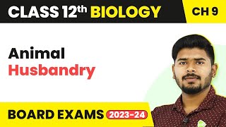 Class 12 Biology Chapter 9  Animal Husbandry Strategies for Enhancement in Food Production 202223 [upl. by Ramoh]