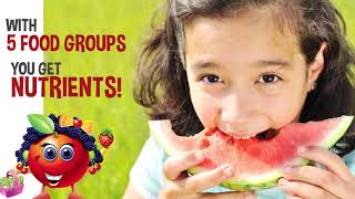 MyPlate 5 Food Group Video [upl. by Midian]