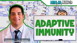 Immunology  Adaptive Immunity [upl. by Atinehc616]