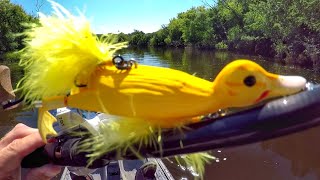 Fishing A Duck Lure For MONSTER Pike [upl. by Aivon351]