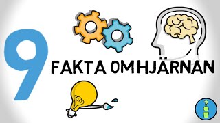 9 FAKTA OM HJÄRNAN [upl. by Enilreug422]