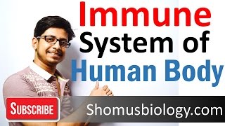 Innate and adaptive immunity  immune system of human body lecture [upl. by Xilef398]