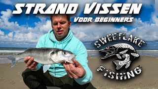 Strand vissen voor beginners  Zeebaars [upl. by Uri593]