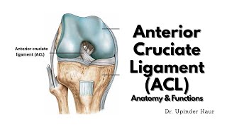 Anterior talofibular ligament test [upl. by Mehala806]