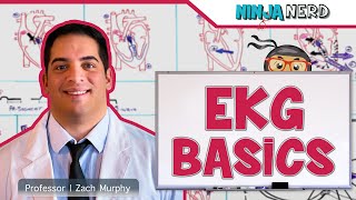 EKG Basics  How to Read amp Interpret EKGs Updated Lecture [upl. by Chapell193]