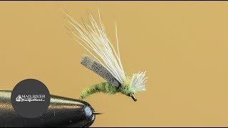 SIMPLE CADDIS PATTERN Fly Tying Tutorials [upl. by Acirat]