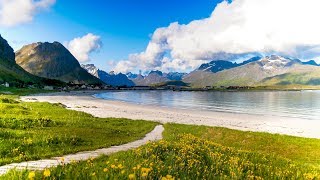 Uplifting Music  light positive happy music Gullrosøya  1 hour [upl. by Strauss883]