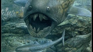 Vertebrate Evolution From Fish to Mammals [upl. by Erroll506]