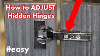 How to Adjust Kitchen Cabinet Hinges  DIY [upl. by Ruff]