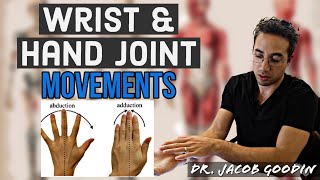 Wrist amp Hand Anatomy Joint Movements [upl. by Fowler975]