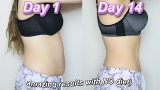 I DID THE CHLOE TING 2020 2 WEEK SHRED CHALLENGE MIDSIZE GIRL RESULTS [upl. by Germann274]