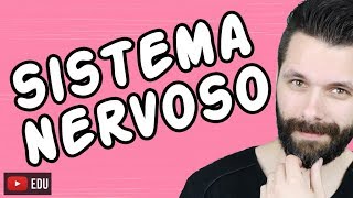 SISTEMA NERVOSO  FISIOLOGIA  Aula  Biologia com Samuel Cunha [upl. by Ahsikam631]