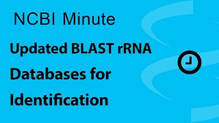 NCBI Minute Updated BLAST rRNA Databases for Identification [upl. by Lletniuq]