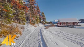 4K Jasper National Park Canada  Winter Walking Tour through Forest with Nature Sounds  Part 2 [upl. by Kilk426]