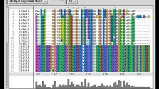 Bioinformatics part 4 Introduction to FASTA and BLAST [upl. by Wylen78]