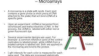 A Guide to NCBI Gene Expression Part 2 [upl. by Ecidnac]