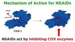 Introduction to Nonsteroidal AntiInflammatory Drugs NSAIDs [upl. by Pilloff587]