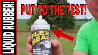 FLEX SEAL SPRAY RUBBER PUT TO THE TEST [upl. by Naesed146]