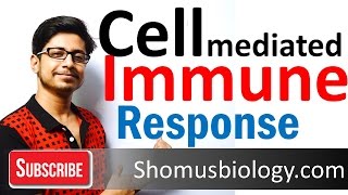 Cell mediated immunity  innate immune response [upl. by Pangaro]