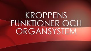 Människokroppen  organsystem [upl. by Nirra]