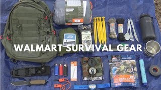 Overnight 250 Walmart Survival Challenge [upl. by Kubiak]