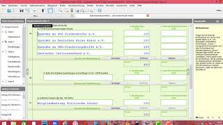 Elster  ElsterFormular Steuererklärung Sonderausgaben Spenden und Mitgliedsbeiträge [upl. by Hamian]