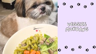 Veggies Mukbang 🐾 [upl. by Nims83]