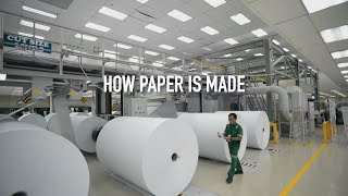 How Paper Is Made [upl. by Ahslek]