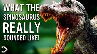 How To Speak Dinosaur  Get Out There  BBC Earth Kids [upl. by Shalom573]