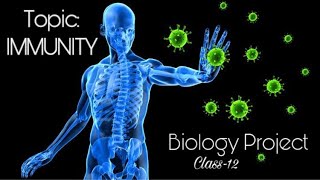 Biology project IMMUNITY class 12 CBSE [upl. by Semaj178]