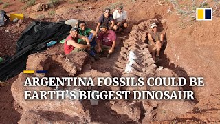 Dinosaur fossils found in Argentina could be from largest creature to have ever walked the Earth [upl. by Brace]