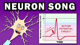 THE NEURON SONG [upl. by Etnohs]