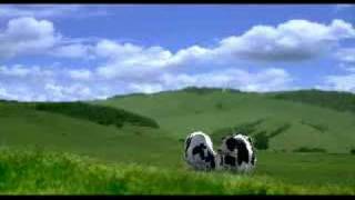 Happy Cows  sheep escape [upl. by Ronnoc]