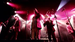 Reel Big Fish  Call Me Maybe  Beer live in Vienna 2013 [upl. by Taub923]