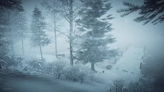 Intense Winter Storm at the Lake┇Howling Wind amp Blowing Snow ┇Sounds for Sleep Study amp Relaxation [upl. by Ymia521]