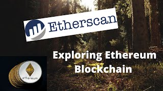 How To Use Etherscan  Everything You Should Know About Etherscan [upl. by Norrabal480]