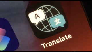 How to use Translate on iPhone iOS 14 [upl. by Lassiter177]