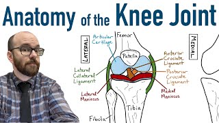 Finger Collateral Ligament Stress Test [upl. by Noreh365]