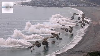 Massive Korea amp US Marines Amphibious Beach Landing [upl. by Jaymee78]