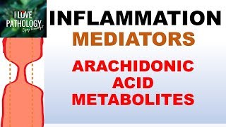 INFLAMMATION Part 5 Chemical Mediators ARACHIDONIC ACID METABOLITES [upl. by Maxma]